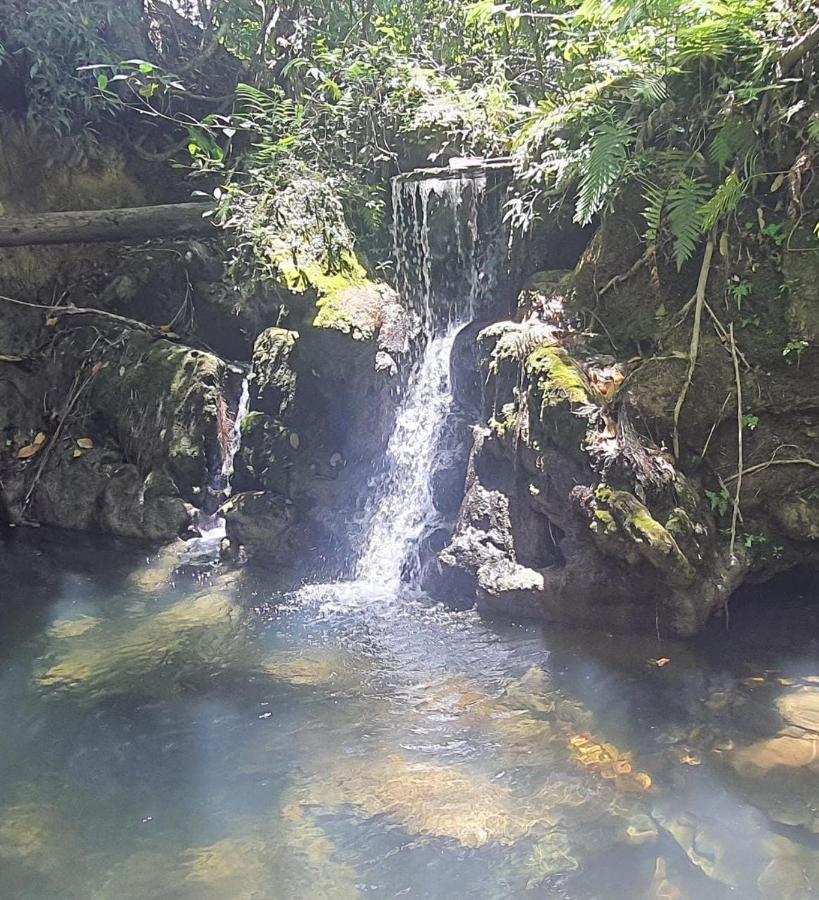度假居 Refugio Exclusivo No Meio Da Natureza *
